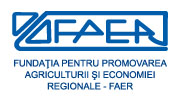 logo_faer